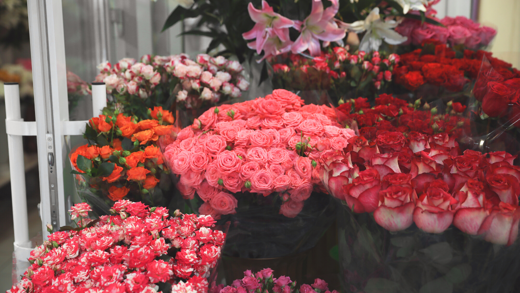 Where Can You Buy Affordable And Cheap Flowers For Your Loved Once In ...