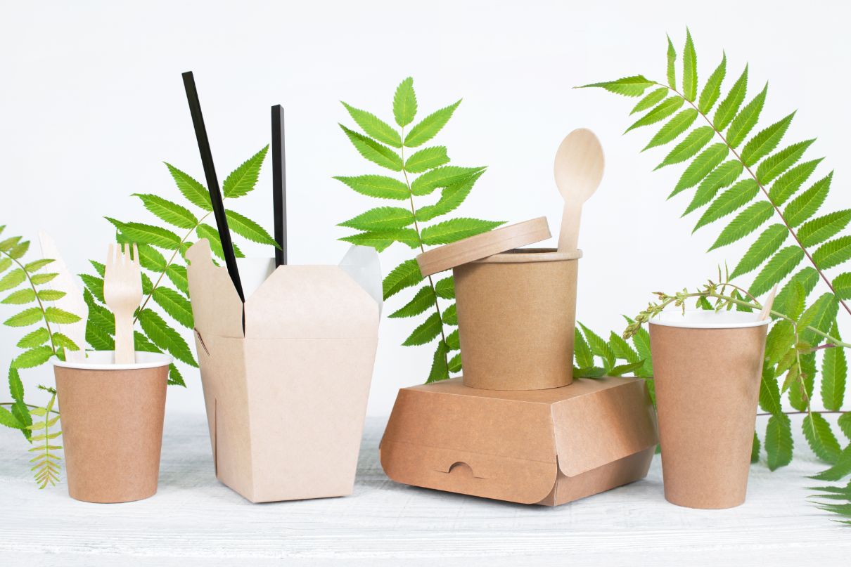 Best Eco-Friendly Green Products to Purchase for Gifting