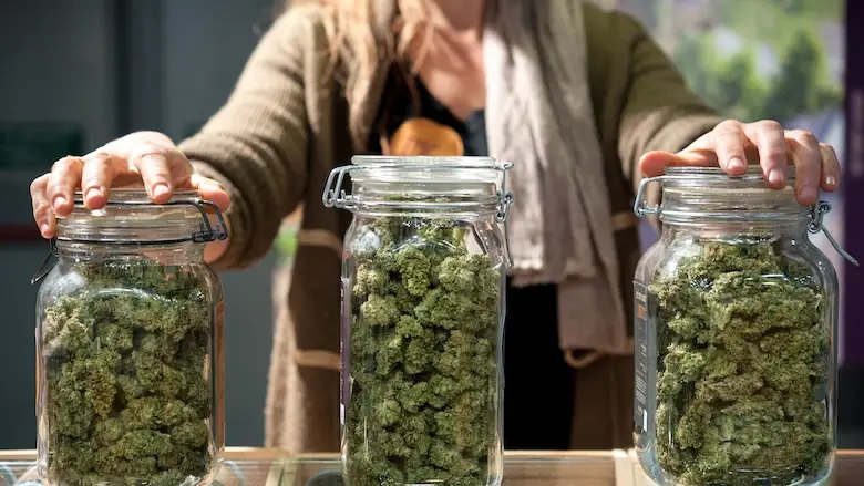 Perfect Solution for Your Weed Storage Woes: Airtight Containers