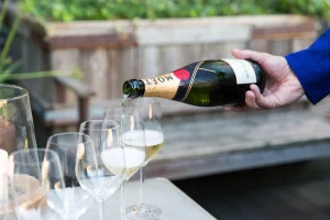 How to Choose the Best Champagne for Your Celebration